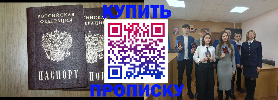 прописка гарантия в Стародубе
